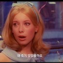 쉘부르의 우산 - Jacques Demy