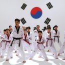 정립(태권도) 이미지