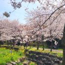 대왕수천 이미지