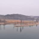 까망콩두부 이미지