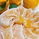 (주)올제 이미지