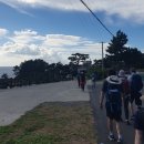 샘자원 | 제주올레길 8코스, 제주 도민 올레 도전기-초보자도 완주 가능한 걷기 코스 후기