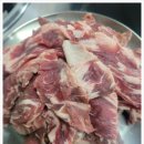 돼지벅스 이미지