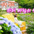 카페 바람의언덕