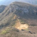 동백바다 이미지