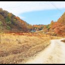 옛고을농장 이미지