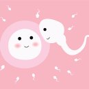 정돌이네 | 30대 중반 계획임신 준비과정 성공 TIP! (feat. 산전검사, 배란초음파, 나팔관 조영술 후기)