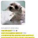 이앤장동물병원