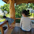 원두막커피 이미지