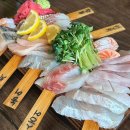 유년기의끝 | 잠실 횟집 추천 송리단길 석촌호수 맛집 숙성촌 잠실점 솔직후기