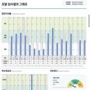 케어벳 | 강아지 케어 솔루션 페노비스 벳 케어플러스 체험 후기 및 모발 검사 후기