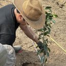 해찬농장 이미지