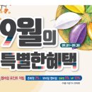 다비치 안경원 나주점 이미지