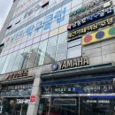 러블리독 이미지