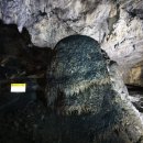 용연동굴 이미지