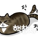 통영파라스파 | 통영 마린스파펜션 스파없는 객실 후기