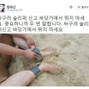 싸구려 이미지