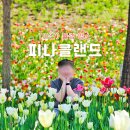 아산 피나클랜드 수목원 입장권 불꽃축제 시간 튤립축제 후기