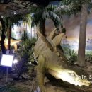 인천어린이박물관 이미지