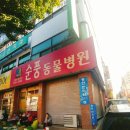 순풍동물병원 이미지