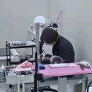 무릎 위의 고양이 무냥 이미지