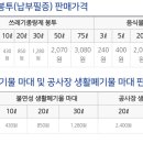 수영마대 티스토리