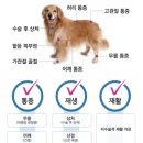 나우동물의료센터 이미지