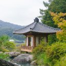 청산도의미래 | 서울 근교 가볼만한 곳, 양평 메덩골정원 신규 개관 여행지 예약, 주차, 후기