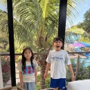 화산식당 | 필리핀 아이랑 마닐라 근교 1박2일 여행 코스 원델리아 숙소, 따가이따이 따알화산, 게리스그릴 식당 후기