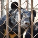 만인농장 이미지