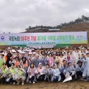 희망나무심기6 이미지