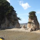 충남과일