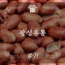 광성유통 이미지