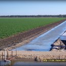 목화농장 이미지