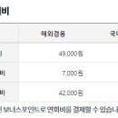 스카이플래티늄항공 이미지