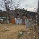 팔공포레스트 이미지