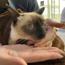 연이 메디칼 이미지