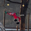 겨울 일상 조각 기록
