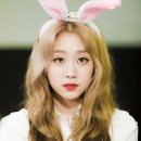비썸