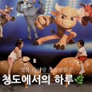 소싸움 | 아이들과 떠난 청도 여행, 소싸움 경기 &amp; 덕산방직 카페 후기