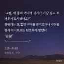 당신의 꿈이 창생을 구하는 것이었다면 제 꿈은 오직 당신이나한테소설살돈주는거.