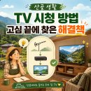 장기 산골농장 | 산골에서 유선없이 TV를 시청하려면 어떻게야, 꼼꼼히 챙겨야 할