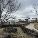 스타빌 | 제주 스타빌 유르트 객실 글램핑 후기