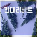 다음건설주