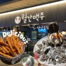 월간맥주 | [향남술집] 향남 월간맥주 방문 후기 간단하게 맥주하기 좋은 곳