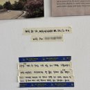 커피아일랜드 이미지