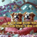 왕대박복권방 이미지