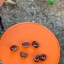 청천수목원야영장 이미지