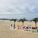 ▲ 증포산악회 12월 송년산행 - 동해안 해파랑길 40-41구간 일부 이미지