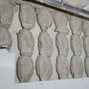 당감뜨란채 이미지